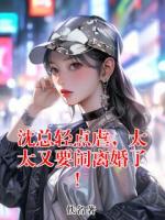 沈总轻点虐，太太又要闹离婚了！