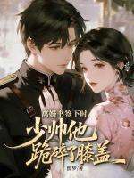 离婚书签下时，少帅他跪碎了膝盖