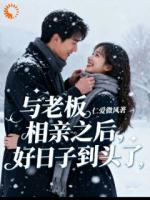 与老板相亲之后，好日子到头了