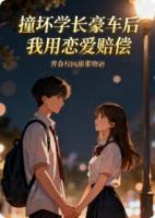 撞坏学长豪车后，他让我用恋爱赔偿