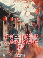 还有三十日登基，系统让我去造反？