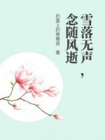 雪落无声，念随风逝