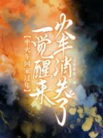 坐火车回家过年，一觉醒来火车消失了