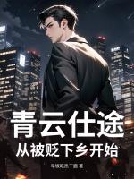 青云仕途：从被贬下乡开始