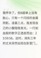 我肚皮上的倒计时只剩24小时，而全球通缉令刚下达