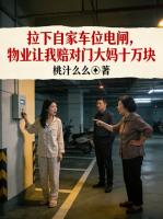 拉下自家车位电闸，物业让我赔对门大妈十万块